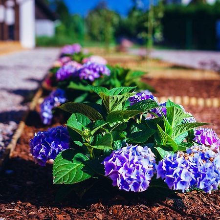 Apartamenty Wiatr I Woda Mikołajki Kültér fotó